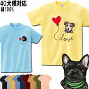 Tシャツ 犬 半袖 グッズ 雑貨 ゴールデンレトリバー シベリアンハスキーアメリカンコッカースパニエル ラブラドール ミニチュアシュナウザー スピッツ ミニピン フォックステリア イタグレ 誕生日 犬 犬柄 レディース メンズ 誕生日プレゼント クリスマス プレゼント