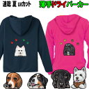 犬柄 パーカー 誕生日プレゼント 好き ドライパーカー 吸汗速乾 UVカット オーナー用 パーカー ラブラドール バーニーズマウンテンドッグ シベリアンハスキー...