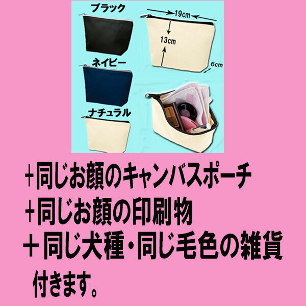 父の日 プレゼント 2024 福袋 犬 散歩バ...の紹介画像3