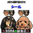 名入れ 犬 ステッカー グッズ 雑貨 ボストンテリア キャバリア マルチーズ パピヨン ミニチュアシュナウザー ジャックラッセルテリア ペキニーズ ヨーキー シ...