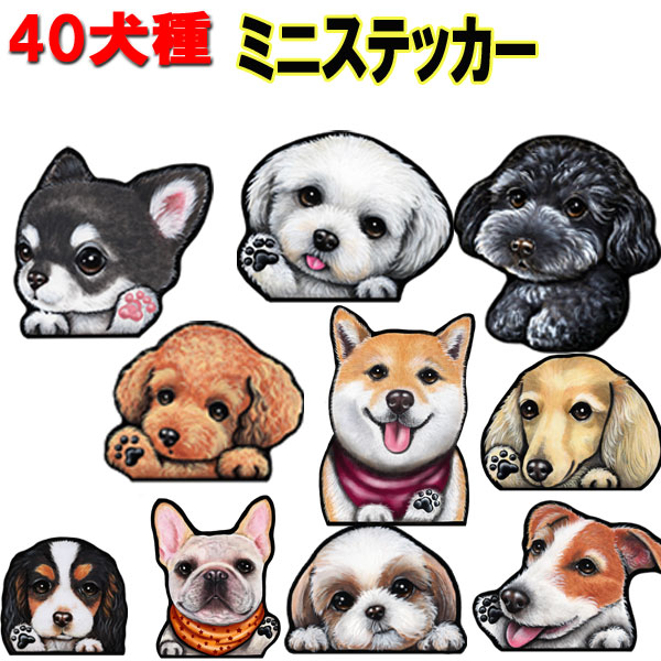 父の日 プレゼント 1000円ポッキリ ミニ 犬 ステッカー オリジナル シール チワワ トイプードル フレンチブルドッグ 柴犬 ダックスフンド パグ シーズー シュナウザー ポメラニアン グッズ 雑貨 車に貼る 車ステッカー 車用 犬ステッカー 車 誕生日プレゼント ワンポイント