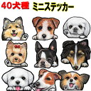 母の日 プレゼント 1000円ポッキリ 犬 ステッカー シール ミニ 犬ステッカー グッズ 雑貨 ボストンテリア キャバリア マルチーズ ジャックラッセルテリア ポメラニアン ペキニーズ シェルティ ウェスティ キャバリア シェルティ ポメラニアン 車 誕生日プレゼント