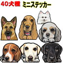 1000円ポッキリ 犬 ステッカー シール ミニ 犬ステッカー 犬 ステッカー グッズ 雑貨 ラブラドールレトリバー バーニーズマウンテンドッグ シベリアンハスキー ラブラドールレトリバー ヨークシャーテリア ミニチュアピンシャー 車 誕生日プレゼント クリスマス プレゼント