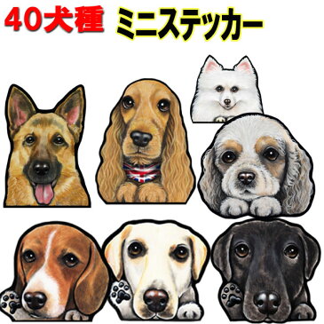 送料無料/犬 ステッカー/シール/ミニ犬ステッカー犬 ステッカー/ゴールデンレトリバー/ビションフリーゼ狆ダルメシアン秋田犬バセットハウンド/イタグレ/ブルテリア猫イタリアングレーハウンド/シェパード/シェッドランドシープ/犬ステッカーイタグレ/ゴールデンレトリバー