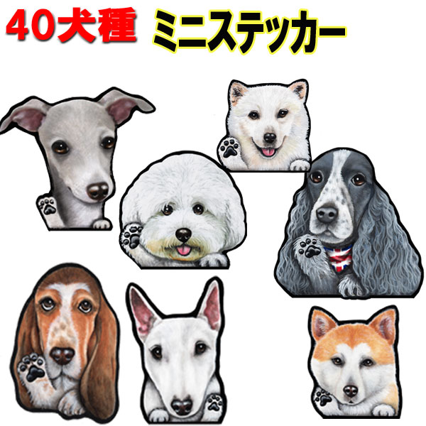 父の日 プレゼント 1000円ポッキリ 犬 ステッカー シール ミニ 犬ステッカー 犬 ステッカー ゴールデンレトリバー ビションフリーゼ 狆 ダルメシアン 秋田犬 バセットハウンド イタグレ 猫 イタリアングレーハウンド シェパード イタグレ 車 誕生日プレゼント ワンポイント