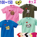 犬 tシャツ 名入れ 子供服 子ども 犬柄 犬 子ども用 キッズ 半袖 男の子 女の子 シーズー トイプードル チワワ 柴犬 グッズ シュナウザー ダックスフン...