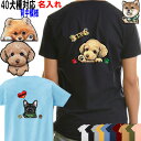犬 tシャツ レディース おもしろ 名入れ 犬 チワワ トイプードル フレンチブルドッグ 柴犬 ダックスフンド コーギー パグ シーズー シュナウザー ポメラニ...
