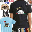 犬 tシャツ レディース おもしろ 名入れ 犬 キャバリア グッズ オリジナル ボストンテリア グッズ マルチーズ 雑貨 パピヨン ヨーキー シェルティ ペキニ...