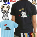 犬 tシャツ レディース おもしろ 名入れ 犬 オリジナル ラブラドール アメリカンコッカースパニエル シベリアンハスキー ビーグル ミニチュアピンシャー グッ...