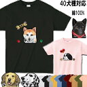 犬 tシャツ レディース おもしろ 名入れ 犬 オリジナル アメリカンコッカースパニエル 雑貨 ビションフリーゼ ラブラドール ビションフリーゼ グッズ ミニチ...