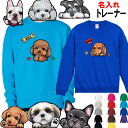 名入れ 犬柄 厚め トレーナー 誕生日プレゼント 裏パイル トレーナー オーナー用 犬 グッズ 雑貨 シーズー トイプードル チワワ 柴犬 シュナウザー ダック...