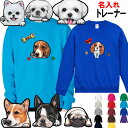名入れ 犬柄 厚手 トレーナー 誕生日プレゼント 裏パイル 犬 グッズ 雑貨 ウェスティ シェルティ ペキニーズ ヨーキー パピヨン ボストンテリア ジャックラ...