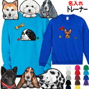 名入れ 犬柄 厚地 トレーナー 誕生日プレゼント 裏パイル地 トレーナー オーナー用 犬 グッズ 雑貨 ダックス プードル 狆 秋田犬 バセットハウンド シェッ...