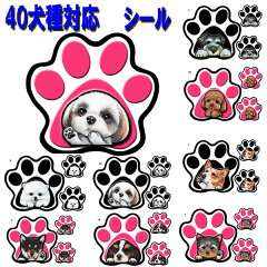 https://thumbnail.image.rakuten.co.jp/@0_mall/petchan/cabinet/bag-ab/paw-a.jpg