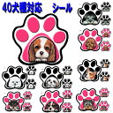 犬 ステッカー足跡 パウ 犬ステッカー ボストンテリア キャバリア マルチーズ ミニチュアシュナウザー ジャックラッセルテリア ポメラニアン ペキニーズ ヨーキ...