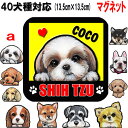 名入れ 犬 ステッカー マグネット 正方形 グッズ雑貨 チワワ トイプードル フレンチブルドッグ コーギー パグ シーズー シュナウザー チワワ トイプードル ...