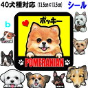 犬 ステッカー 名入れ 正方形 犬ステッカー ボストンテリア キャバリア マルチーズ パピヨン ミニチュアシュナウザー ジャックラッセルテリア ポメラニアン ペ...