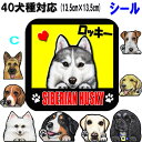 犬 ステッカー 名入れ 犬ステッカー ラブラドールレトリバー ヨーキー アメリカンコッカースパニエル 雑貨 グッス バーニーズマウンテンドッグ シベリアンハスキ...