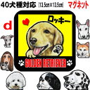 犬 ステッカー 名入れ 正方形 マグネット 犬ステッカー ゴールデンレトリバー ビションフリーゼ 狆 ダルメシアン 秋田犬 イタグレ 猫 シェパード シェッドラ...
