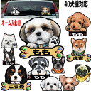 送料無料 車 ステッカー 犬 名入れ 無料 ビーグル DOGLIFEシルエットステッカー 50cm 犬ステッカー 車ステッカー 転写シール ギフト プレゼント ペット