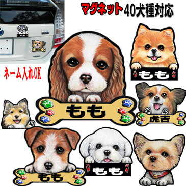 お名前入れ マグネット 犬 ステッカー キャバリア マルチーズ ジャックラッセルテリア シェルティ グッズ 雑貨 防水 耐水 車に貼る スマホケース 肉球 犬のステッカー オーダーメイド かわいい 車ステッカー 玄関 可愛い オーダー プレゼント