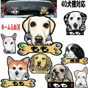 名入れ 犬 ステッカー シール ラブラドール ゴールデンレトリバー シベリアンハスキー グッズ ゴールデン レトリバー 秋田犬 狆 雑貨 シール 車に貼る ラブ...