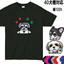 犬 tシャツ レディース おもしろ 犬柄 犬 シーズー トイプードル 雑貨 チワワ 柴犬 グッズ シュナウザー ダックスフンド コーギー キャバリア ポメラニア...
