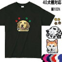 犬 tシャツ レディース おもしろ 犬 オリジナル ビションフリーゼ ラブラドール 雑貨 シェルティ 犬 ミニチュアシュナウザー ミニチュアピンシャー 狆 秋田...