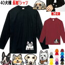 犬 tシャツ レディース おもしろ 犬 オリジナル ウェスティ ビーグル シェルティ ペキニーズ ヨーキー パピヨン シベリアンハスキー ジャックラッセルテリア...