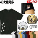 Tシャツ 犬 半袖 誕生日プレゼント アメリカンコッカースパニエル ビションフリーゼ ラブラドール ミニチュアピンシャー 狆 秋田犬 バセットハウンド ラブラドール シェッドランドシープ 甲斐犬 グッズ 雑貨 誕生日 レディース メンズ クリスマス プレゼント