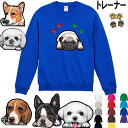 犬柄 厚地 トレーナー 誕生日プレゼント 裏パイル 犬 グッズ 雑貨 ビーグル シェルティ ペキニーズ ヨーキー パピヨン ボストンテリア ジャックラッセルテリ...