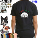 Tシャツ 犬 オリジナル ボストンテリア グッズ キャバリア 雑貨 マルチーズ グッズ パピヨン 雑貨 ペキニーズ ヨーキー シェルティ レディース メンズ キッズ マルチーズ ヨーキー シェルティ パピヨン ペキニーズ 可愛い オーダーメイド かわいい プレゼント バレンタイン