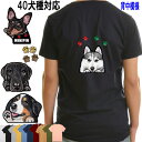 Tシャツ 犬 オリジナル ゴールデンレトリバー ビションフリーゼ ウェスティ 狆 ダルメシアン 秋田犬 イタグレ 猫 グッズ 雑貨 レディース メンズ キッズ ベイビー 可愛い オーダーメイド プリント イベント 誕生日プレゼント クリスマス プレゼント