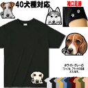 Tシャツ 犬 オリジナル ウェスティ ビーグル シェルティ ペキニーズ ヨーキー パピヨン シベリアンハスキー ジャックラッセルテリア ビーグル ラブラドールレトリバー グッズ 雑貨 レディース メンズ 可愛い お中元 ギフト