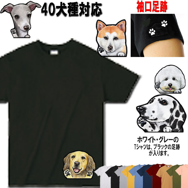 Tシャツ 犬 オリジナル tシャツ ビションフリーゼ