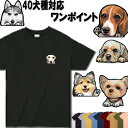犬 tシャツ レディース おもしろ 犬 オリジナル ビーグル シェルティ ペキニーズ ヨーキー パピヨン シベリアンハスキー ジャックラッセルテリア ビーグル ラブラドールレトリバー グッズ 雑貨 メンズ 誕生日プレゼント 母の日 父の日 プレゼント