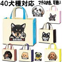 母の日 お散歩バッグ チワワ トイプードル フレンチブルドッグ 柴犬 ダックスフンド コーギー シーズー シュナウザー ポメラニアン グッズ 雑貨 犬 誕生日プ...