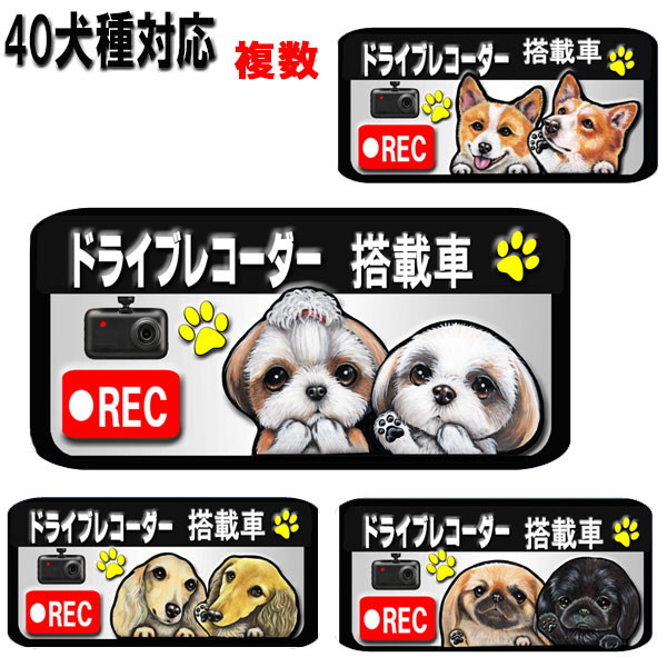 父の日 プレゼント ドラレコ ステッカー かわいい 複数犬 ドライブレコーダー ステッカー マグネット 録画中 犬 雑貨 シーズー トイプードル チワワ 柴犬 シュナウザー ダックスフンド ポメラニアン いぬ 迷惑防止 車用ステッカー 犬雑貨 車に貼る 車 誕生日プレゼント