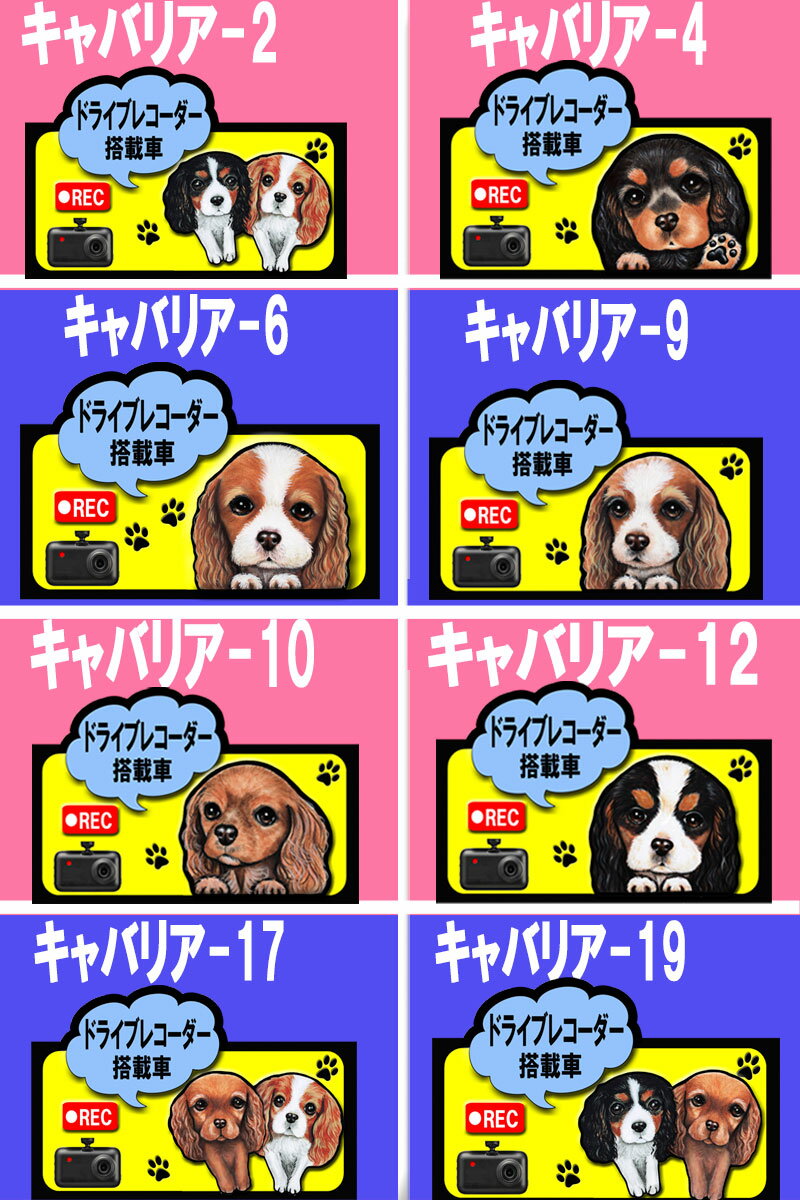 ドライブレコーダー オーナーグッズ 犬 ステッカー シール グッズ 雑貨 キャバリア コーギー パグ フレンチブルドッグ マルチーズ グッズ 雑貨 ラッピング イヌ いぬ 車 あおり運転 迷惑防止 車用ステッカー 車に貼る 車 敬老の日