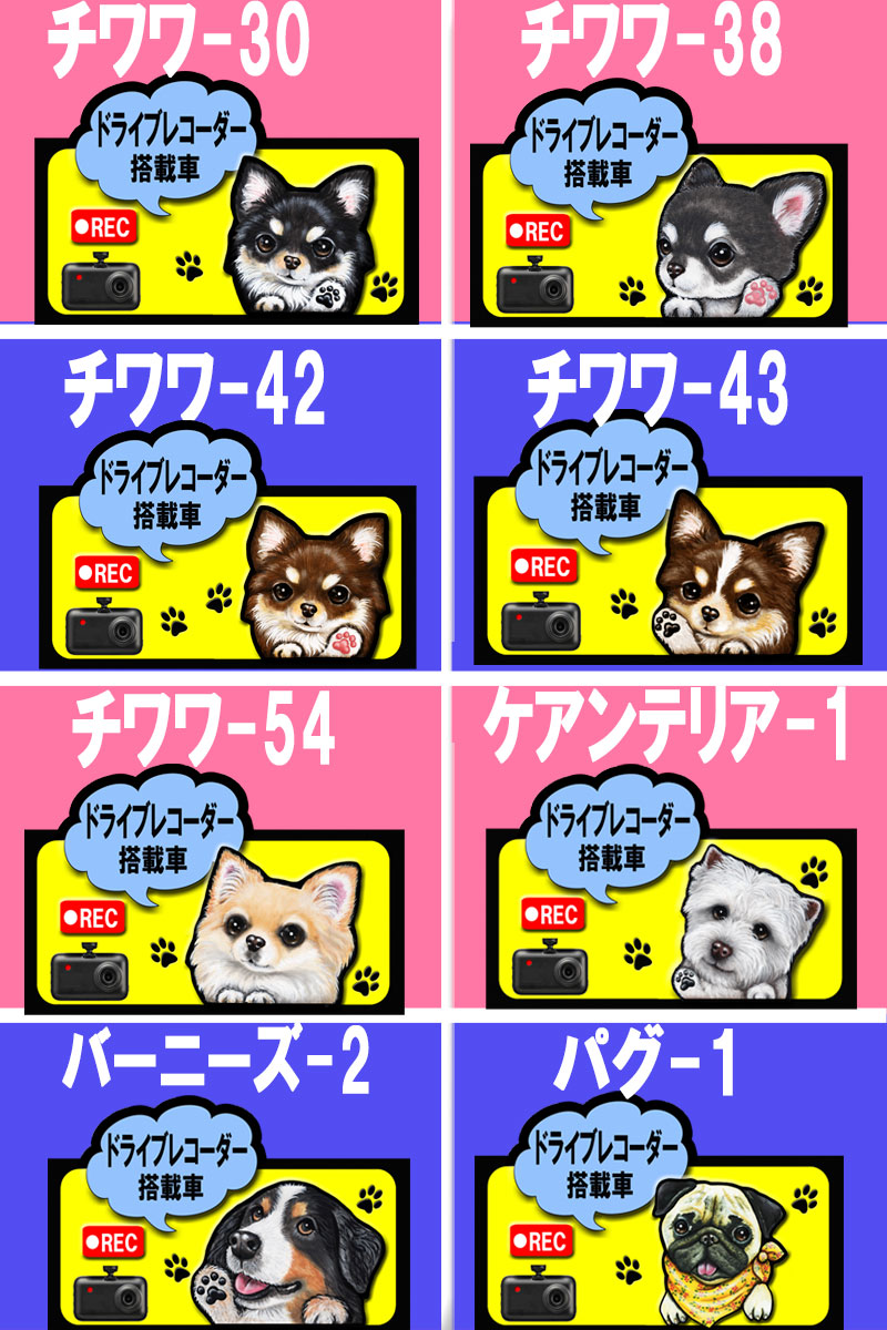 安全運転のために ドライブレコーダーステッカーを 父の日 プレゼント ドライブレコーダー ステッカー 録画中 犬 シール グッズ 雑貨 シーズー トイプードル チワワ 柴犬 車 いぬ 迷惑防止 ラッピング イヌ オーナーグッズ 車用ステッカー 車に貼る 新作アイテム毎日更新