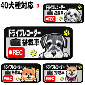 マグネット ドライブレコーダー ステッカー 録画中 犬 グッズ 雑貨 シーズー トイプードル チワワ 柴犬 シュナウザー ダックスフンド ポメラニアン 誕生日 車 オーナーグッズ あおり運転 迷惑防止 車用ステッカー 車に貼る 車 敬老の日