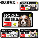 マグネット ドライブレコーダー ステッカー 録画中 犬 グッズ 雑貨 キャバリア コーギー パグ フレンチブルドッグ マルチーズ フレブル グッズ 雑貨 誕生日 いぬ 車 オーナーグッズ あおり運転 迷惑防止 車用ステッカー 犬雑貨 車に貼る 車 クリスマス プレゼント