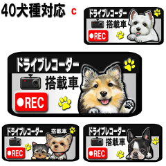 https://thumbnail.image.rakuten.co.jp/@0_mall/petchan/cabinet/drive/bw-drive-c.jpg