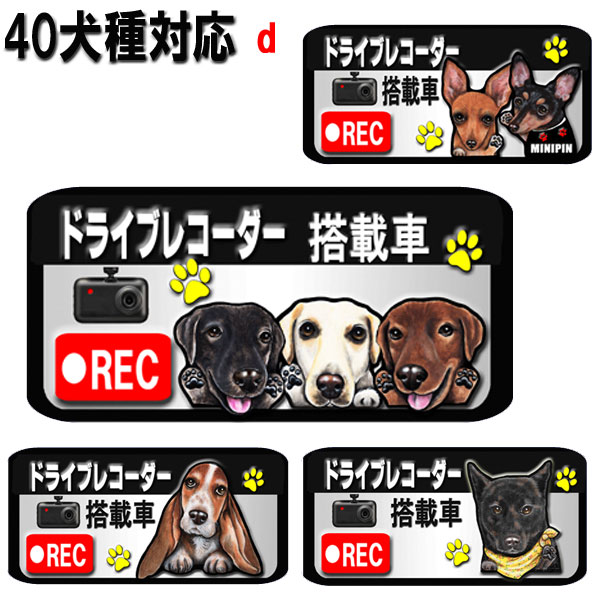 母の日 プレゼント ドラレコ ステッカー かわいい マグネット ドライブレコーダー ステッカー 録画中 犬 グッズ 雑貨 ビションフリーゼ ラブラドール ミニチュアシュナウザー 狆 秋田犬 バセットハウンド ダルメシアン シェッドランドシープ 甲斐犬 車 北海道犬 車