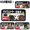 マグネット ドライブレコーダー ステッカー 録画中 犬 グッズ 雑貨 ビションフリーゼ ラブラドール ミニチュアシュナウザー 狆 秋田犬 バセットハウンド ダルメシアン シェッドランドシープ 甲斐犬 車 北海道犬 オーナーグッズ 車 クリスマス プレゼント