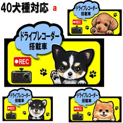 https://thumbnail.image.rakuten.co.jp/@0_mall/petchan/cabinet/drive/drive-a.jpg