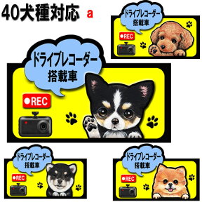 母の日 プレゼント ドラレコ ステッカー かわいい マグネット ドライブレコーダー 犬 ステッカー グッズ 雑貨 シーズー トイプードル チワワ 柴犬 シュナウザー ダックスフンド ポメラニアン 誕生日 ラッピング イヌ いぬ 車用ステッカー 犬雑貨 車に貼る 車