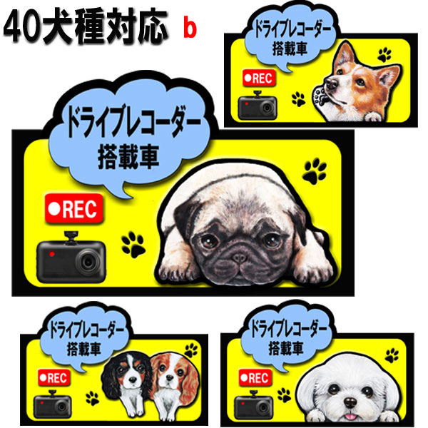 父の日 プレゼント ドラレコ ステッカー かわいい ドライブレコーダー 録画中 犬 ステッカー シール グッズ 雑貨 キャバリア コーギー パグ フレンチブルドッグ マルチーズ グッズ 雑貨 ラッピング いぬ 車 録画 車用ステッカー 車に貼る 車 誕生日プレゼント プレゼント