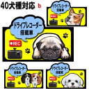 ドライブレコーダー オーナーグッズ 犬 ステッカー シール グッズ 雑貨 キャバリア コーギー パグ フレンチブルドッグ マルチーズ グッズ 雑貨 ラッピング イヌ いぬ 車 あおり運転 迷惑防止 車用ステッカー 車に貼る 車 誕生日プレゼント プレゼント バレンタイン