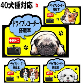 母の日 プレゼント ドラレコ ステッカー かわいい マグネット ドライブレコーダー 犬 ステッカー グッズ 雑貨 キャバリア コーギー パグ フレンチブルドッグ マルチーズ 誕生日 ラッピング イヌ いぬ 車 迷惑防止 車用ステッカー 犬雑貨 車に貼る 犬雑貨 車